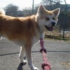 今日も快晴！の画像