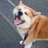 昨日のいちクン♪の画像