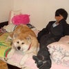 兄ちゃん！大好きぃ～♪の画像