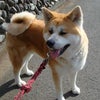 昨日そして今日！の画像