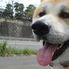 笑顔～♪の画像
