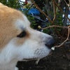 三寒四温♪の画像