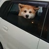 8月終わっちゃいましたね～の画像