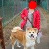 明けましておめでとうございマス♪の画像
