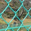 なんだか涙・・・。の画像