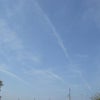昨日のお散歩♪の画像