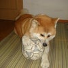 内緒でサッカ～♪の画像