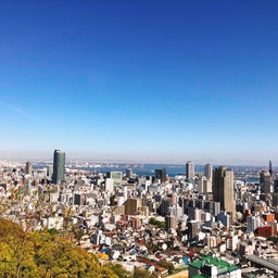 画像 久々に奥さんと。四月中頃の話 の記事より 3つ目