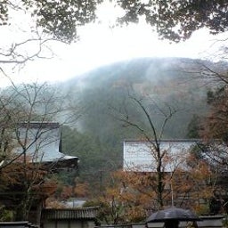 イメージ 7