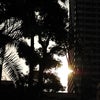 都会の夕日～★の画像