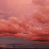 ８/８の夕景  ～の画像