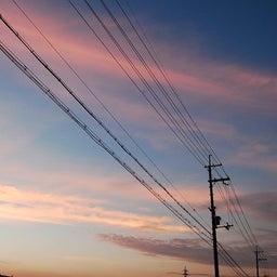 イメージ 8