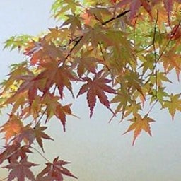 イメージ 8
