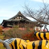 御朱印巡り☆～朝護孫子寺～の画像