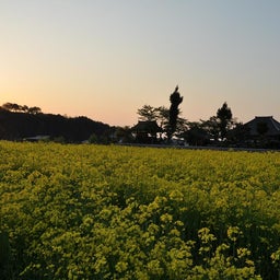 イメージ 5