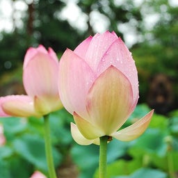 イメージ 6