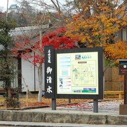 イメージ 6