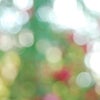 失敗作～！の画像