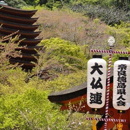 イメージ 7