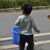僕だってお手伝い～♪の画像