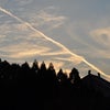 奈良公園　☆　大仏池から二月堂へ～♪の画像
