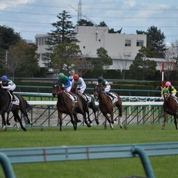 イメージ 10