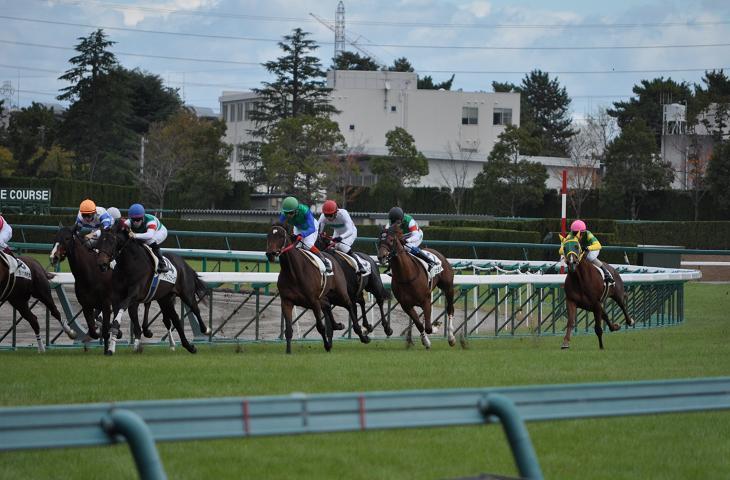 イメージ 10