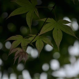 イメージ 1