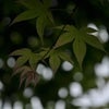 おふさ観音～　☆第二弾の画像