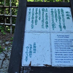 イメージ 11