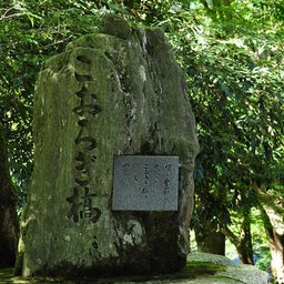 イメージ 2