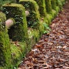 東吉野村・大又渓谷へ～♪の画像