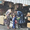 カメラに収めた吉野山～　☆総集編～♪の画像