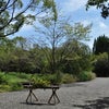 ☆叶匠寿庵　～寿長生の郷へ～の画像
