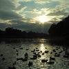 夕暮れの「橿原神宮」散策～♪の画像