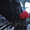 競馬のｲﾒｰｼﾞが変わった瞬間！！の画像