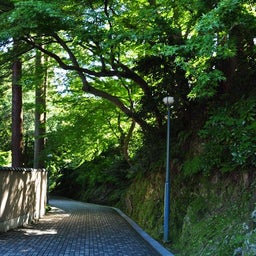 イメージ 9