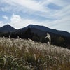 一面銀世界の曽爾高原へ～♪の画像