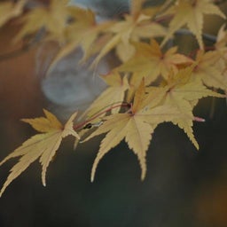 イメージ 8
