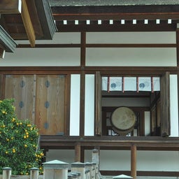 イメージ 7