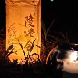 イメージ 8