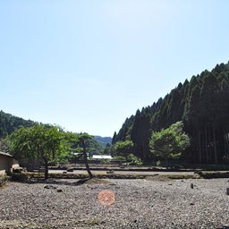 イメージ 7