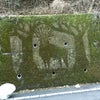 定峰峠の苔アートの画像
