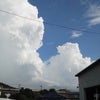 梅雨明けの画像