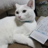 テスト勉強のおじゃまさんの画像