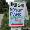 長野県・地獄谷温泉と野猿 その２の画像