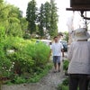 鮎をありがとう！の画像