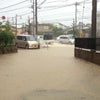 大雨洪水警報！<(゜д゜!!）>の画像