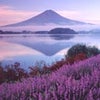 　あと28日と15時間余りの画像