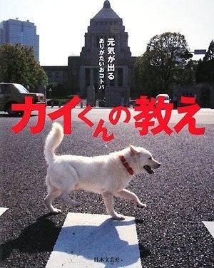 イメージ 21